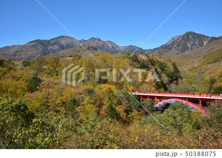 紅葉の東沢大橋 50388075