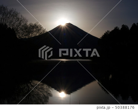 「ダイヤモンド富士」 田貫湖 富士宮市 「ダイヤモンド富士」 田貫湖 富士宮市 50388176