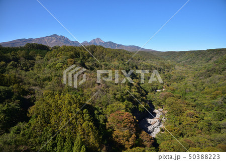 紅葉の八ヶ岳 50388223