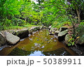 渓流 50389911