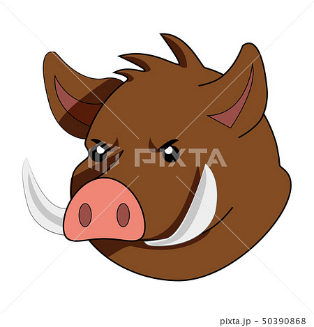 Cartoon of a cute wild pig face. 50390868