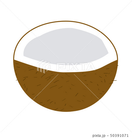 Isolated cut coconut 50391071