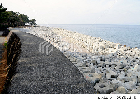 海岸堤防 50392249