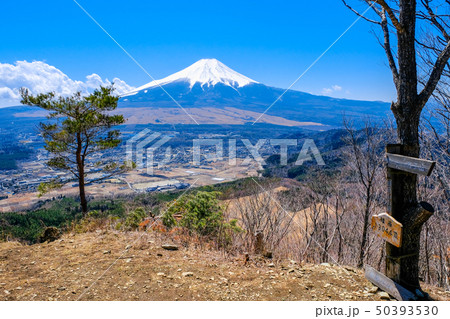 高座山山頂の風景 高座山山頂の風景 50393530