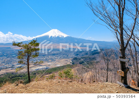 高座山山頂の風景 高座山山頂の風景 50393564