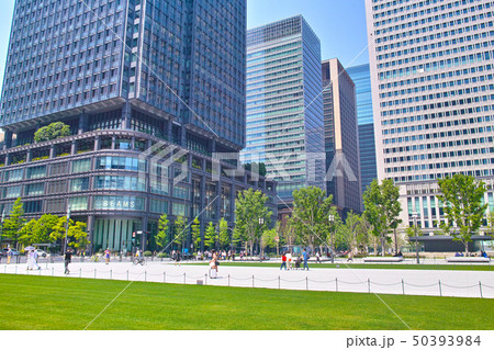 新緑の東京駅前広場の風景 50393984