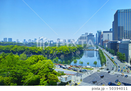 日比谷公園の森と東京の街並み 50394011