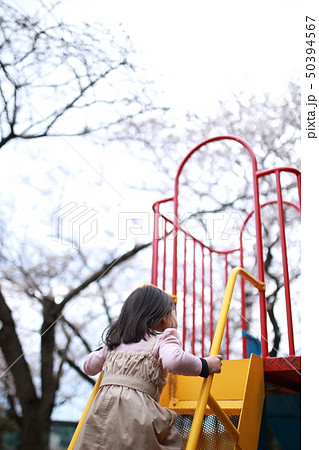 新学期 (お花見 桜 サクラ さくら 娘 女性 コピースペース 女の子 園児 幼児 カジュアル) 新学期 (お花見 桜 サクラ さくら 娘 女性 コピースペース 女の子 園児 幼児 カジュアル) 50394567