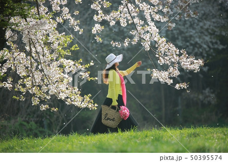 桜 女性 女 50395574