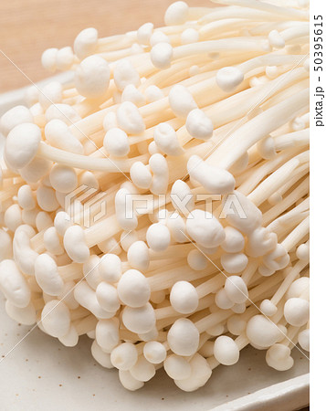 エノキダケ 50395615