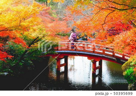 Aumn park Aumn park 50395699