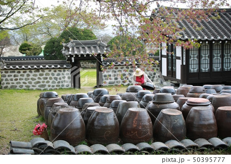 大興洞古着 東軒 桜 50395777