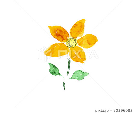 花　オレンジ　手書き　手描き　 50396082