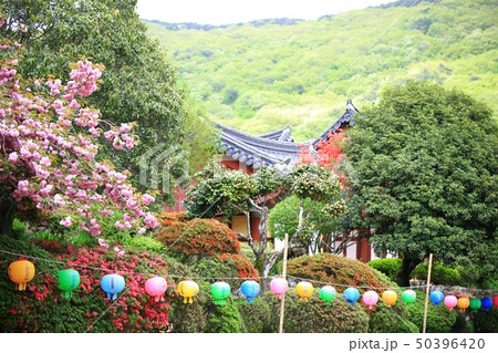 節 寺院 宗教 50396420