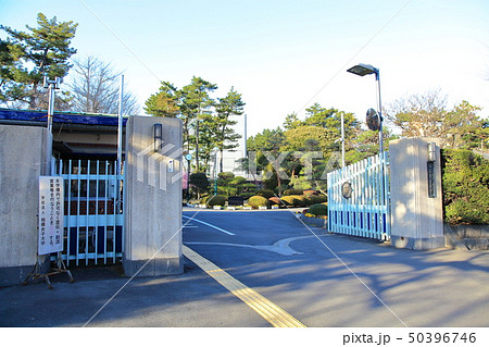 相模女子大学　　　相模原市 50396746