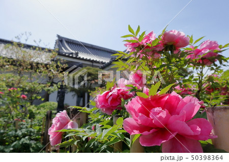 日本 秩父の風景 日本 秩父の風景 50398364