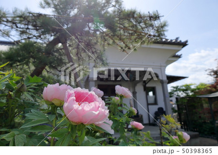 日本　秩父の風景 50398365