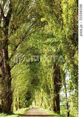 北海道 北海道 50398396