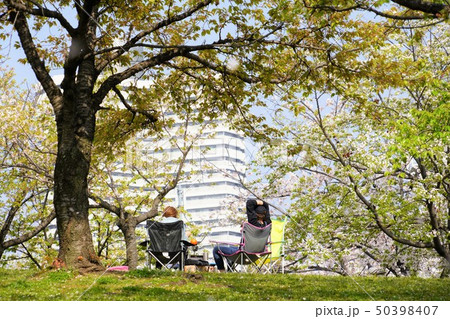 大阪市 桜と新緑を楽しむ人たち(都島、蕪村公園) 大阪市 桜と新緑を楽しむ人たち(都島、蕪村公園) 50398407