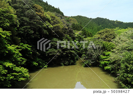 安房中央ダム(南房総市) 安房中央ダム(南房総市) 50398427