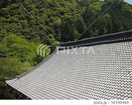長谷寺 長谷寺 50398460