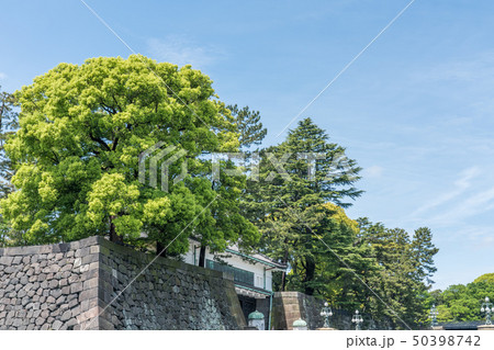 令和元年5月1日の皇居の様子 50398742