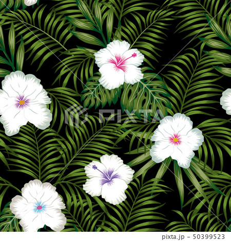 White hibiscus and green leaves seamless black 50399523