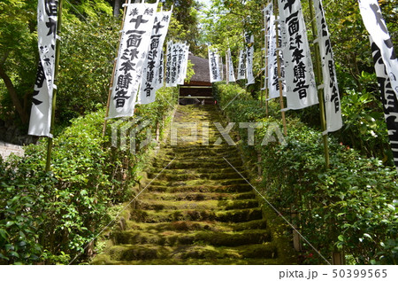 晴天の鎌倉・杉本寺 晴天の鎌倉・杉本寺 50399565