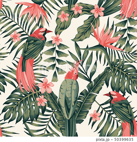 Tropical plants flowers birds abstract colors 50399635