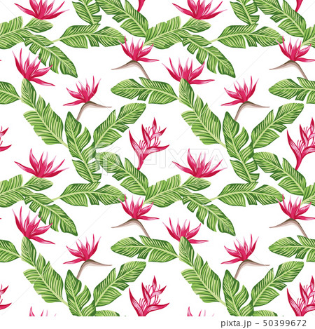 Seamless composition from green leaves and red Seamless composition from green leaves and red 50399672