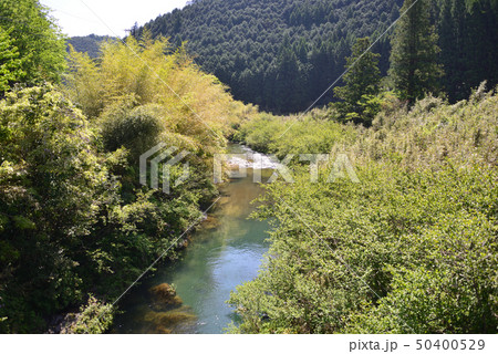 初夏の四万十川上流域 初夏の四万十川上流域 50400529