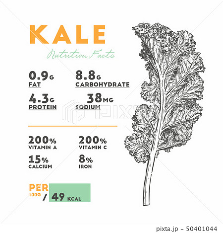 Nutrition facts of Kale, Hand draw sketch vector. 50401044