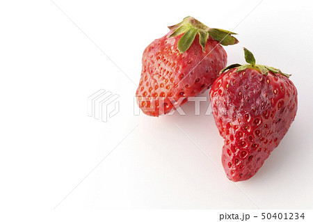 腐りかけのイチゴ 50401234
