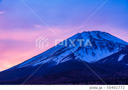 （静岡県）水ヶ塚公園から望む、初夏の富士山　夕景 50401772