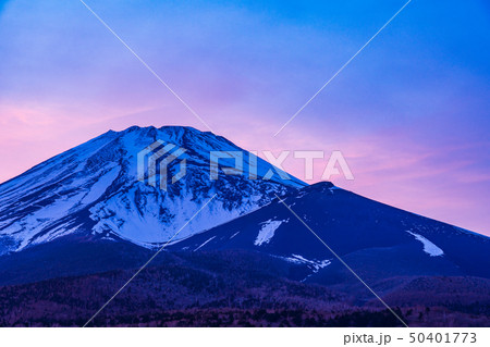 （静岡県）水ヶ塚公園から望む、初夏の富士山　夕景 50401773
