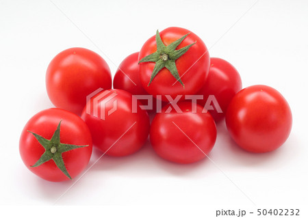 ミディトマト ミディトマト 50402232