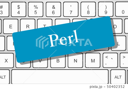 プログラミング言語Perlのイメージ 50402352