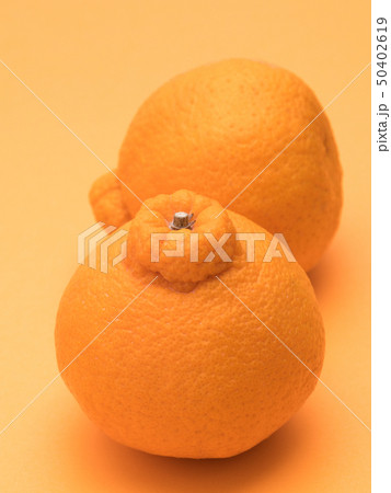 デコポン デコポン 50402619