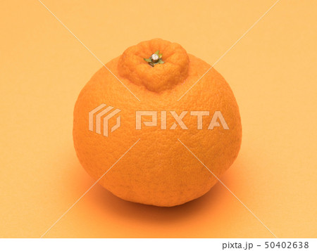 デコポン デコポン 50402638