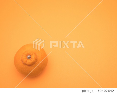 デコポン デコポン 50402642