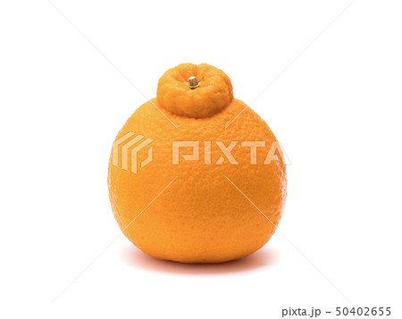 デコポン 50402655