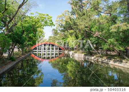 住吉大社 住吉大社 50403316