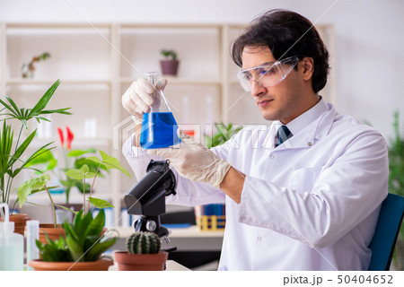 Biotechnology chemist working in lab Biotechnology chemist working in lab 50404652