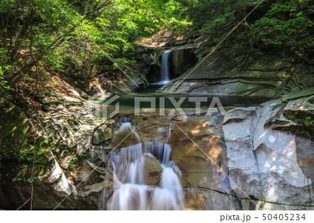 新緑の藤河内渓谷 50405234