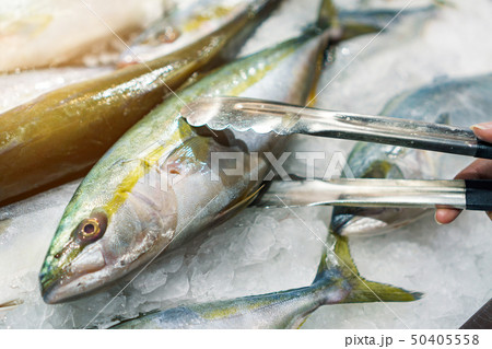 Raw fresh fish on cold Ice with hand holding Raw fresh fish on cold Ice with hand holding 50405558