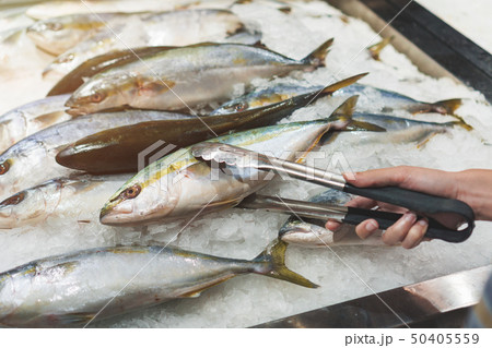 Raw fresh fish on cold Ice with hand holding 50405559