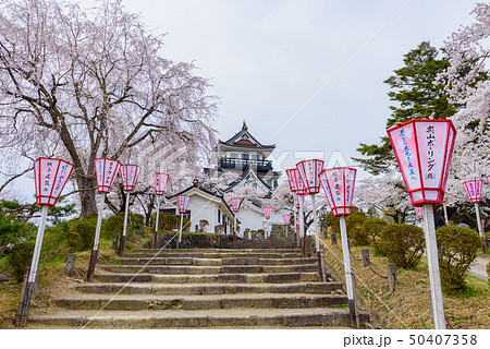 横手城桜まつり 横手城桜まつり 50407358