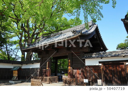 愛知県 名古屋市 徳川園 愛知県 名古屋市 徳川園 50407719