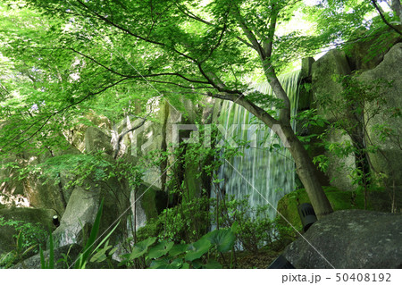 愛知県 名古屋市 徳川園 愛知県 名古屋市 徳川園 50408192