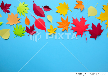 Leaves of paper fall red, orange, yellow leaf 50414099